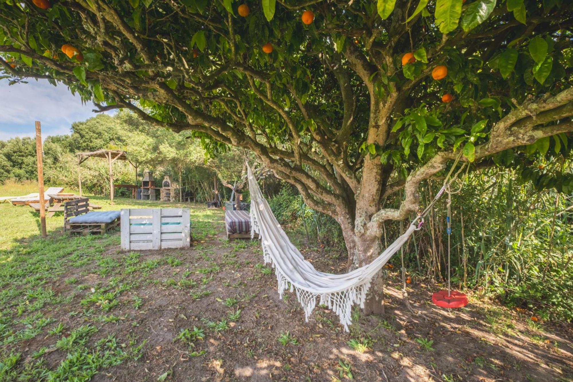 Ruralcamomo Villa กาดิซ ภายนอก รูปภาพ